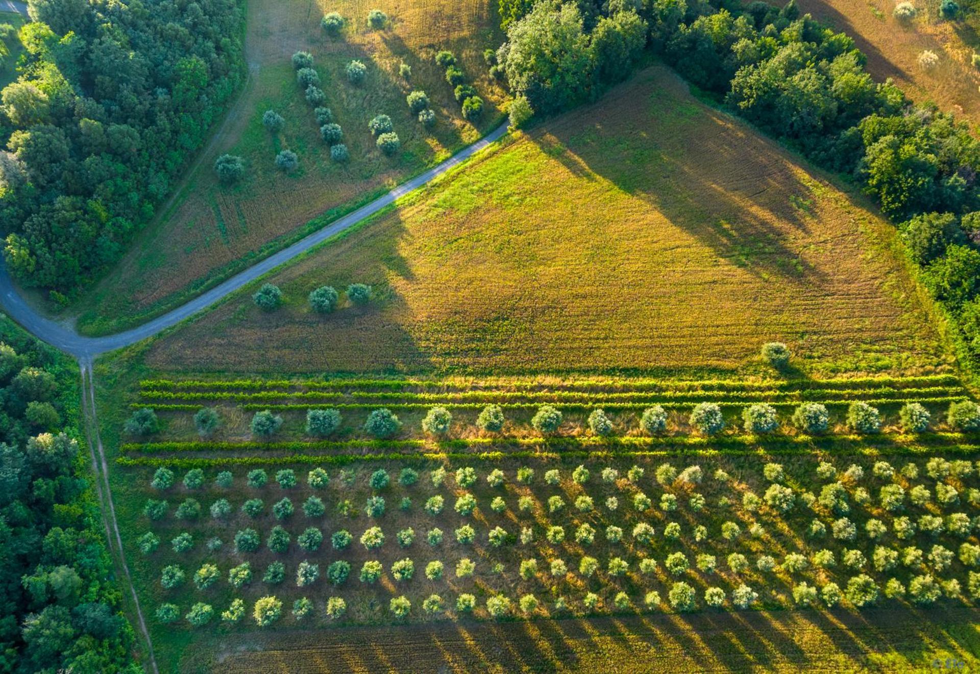 Borgo Gatteraia Aparthotel Volterra Exteriör bild